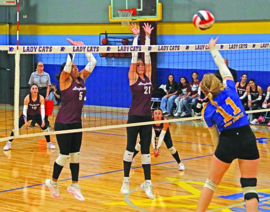 Lady Cards crowned Area Champions