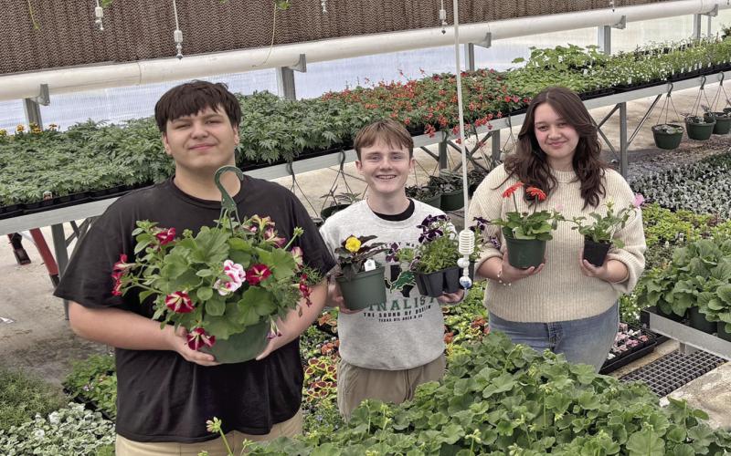 Dublin FFA students pose with some of the plants filling the greenhouse in preparations for the annual plant sale fundraiser April 11-12. Sophie Hayhurst | Submitted photo