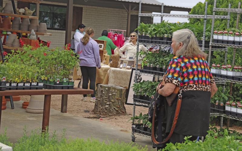 Shoppers brave cooler temperatures for the Grow Together Spring Market at Texas Sage Saturday, March 28. The market showcased a wide range of vendors, live entertainment and of course, beautiful spring plants. The nursery and gift shop is located at 2554 W. Hwy. 6 in Dublin. Paul Gaudette | Citizen staff photo