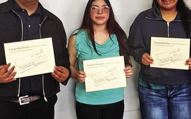 Dublin High School student