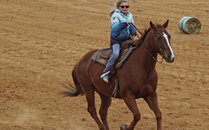 giddy up horsies