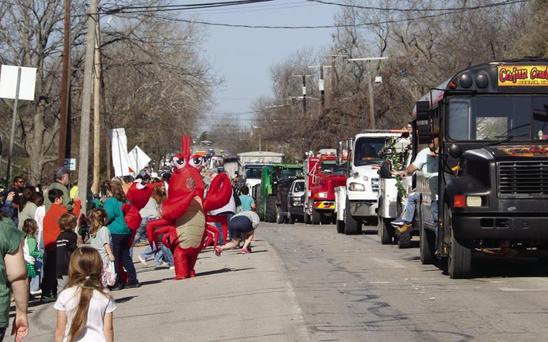 Crawfish dance their way down the annual St. Patrick’s Day parade route accompanied by the Cajun Cowboy bus. The entry received 2nd place in the parade. Thousands turned out for the annual festival among beautiful spring weather. For more photos of all St. Pat’s Day fun, see The Dublin Citizen Facebook page. Wyndi Veigel-Gaudette | Citizen staff photo