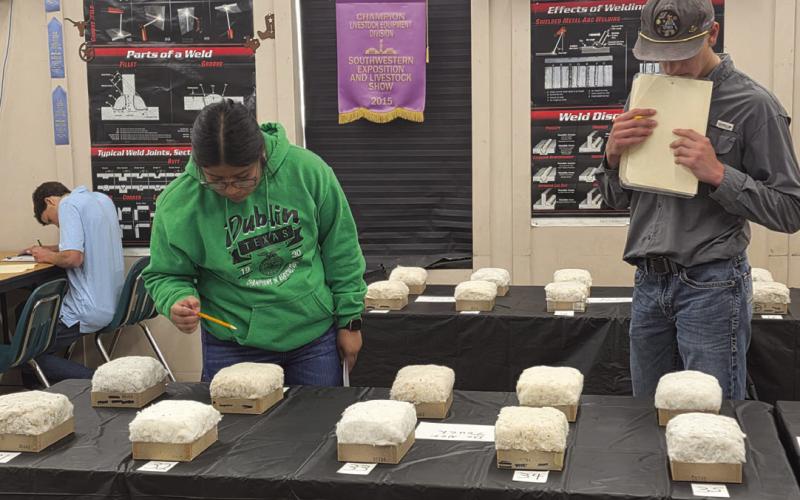 Wyndi Veigel-Gaudette | Citizen staff photo Students compete in a cotton judging contest and milk quality contests at the Dublin FFA CDE event.
