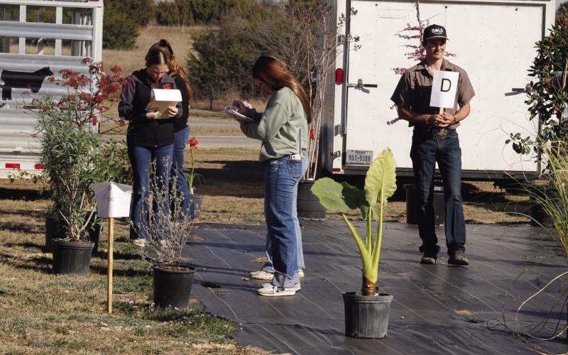 Wyndi Veigel-Gaudette | Citizen staff photo Students explore the new Dublin FFA greenhouse and surrounding area for plant contests.