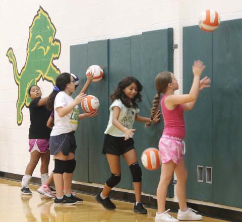Summer hoops end with wins