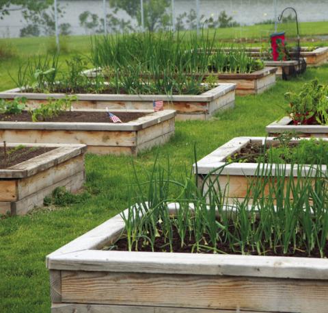 Dublin Garden Club learns Revolution Garden Method
