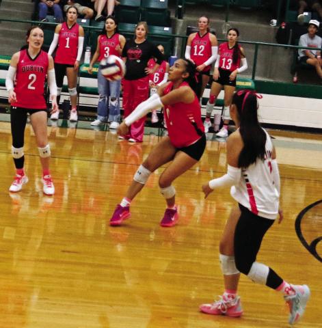 Lady Lion Ingrid Hernandez returns the ball to Millsap in a home game Oct. 7 as teammates get to their feet. Paul Gaudette | Citizen staff photo