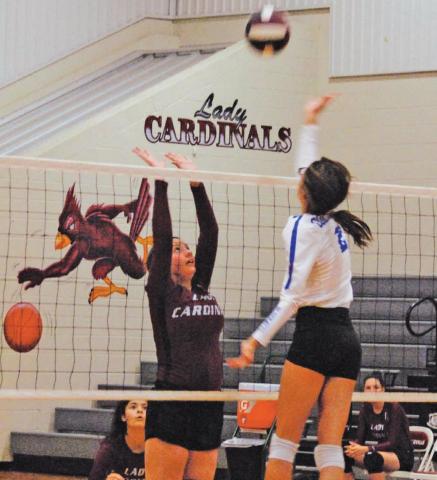 Lady Cards combat Coleman