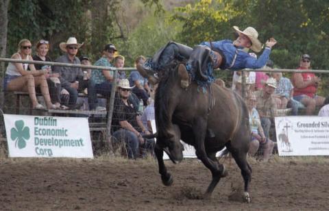 A cowboy holds on for dear life during the bronc riding event Saturday, Aug. 17 at the 4th annual UPRA/ CPRA sanctioned Dublin Rodeo hosted by Byrn Rodeo Productions. For more photos see page 8A and the Dublin Citizen Facebook page. Wyndi Veigel-Gaudette | Citizen staff photo