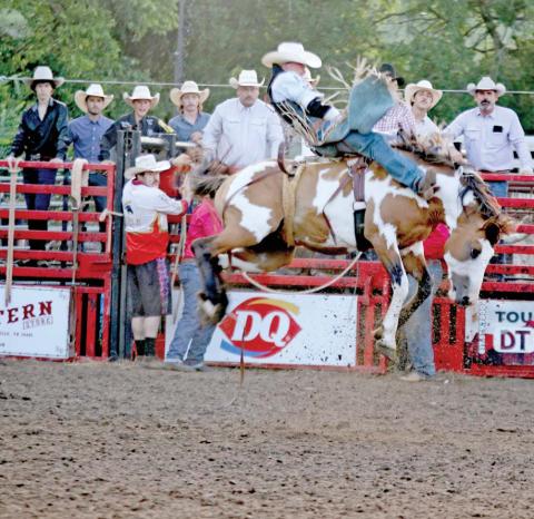 A cowboy hangs on to get to an 8-second ride in the bronc riding event Saturday, Aug.16 at the Dublin rodeo hosted by Bryn Rodeo Productions. Over 260 competitors participated in the two day event at the Dublin City Park Rodeo Arena. For more photos see The Dublin Citizen Facebook page. Wyndi Veigel-Gaudette | Citizen staff photo