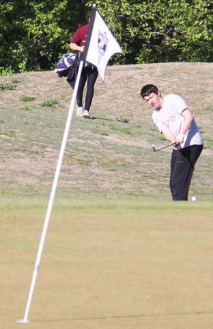Dublin High School golfers