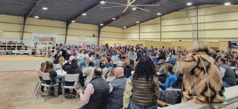 Hundreds of people turn out for the Erath County Jr. Livestock Show Auction Saturday, Jan. 11. The premium show allows youth participants to keep their projects and animals (if they choose) while receiving significant scholarship amounts through the auction. Numerous businesses and local farmers, ranchers and dairymen bid on the projects during the auction. For the first time, ag mechanic projects were also part of the auction.  
