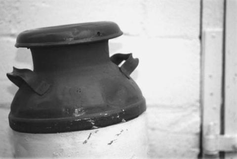 How do milk alternatives compare to the real thing?