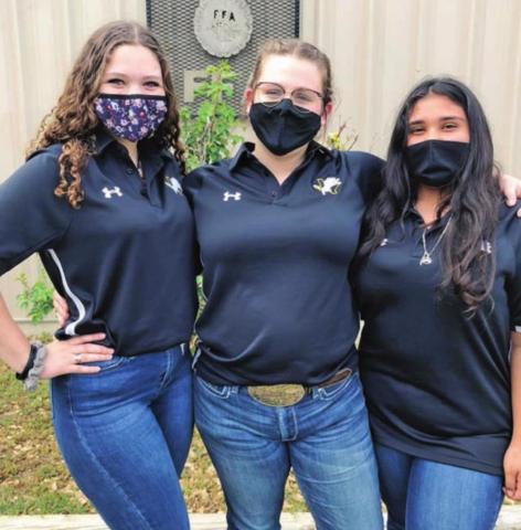 The Dublin FFA Entomology team of Sehrsha Glover, Maggie Rollins and Mariana Ortiz will be competing at state after placing second in Area last week. Paul Gaudette | Citizen staff photo