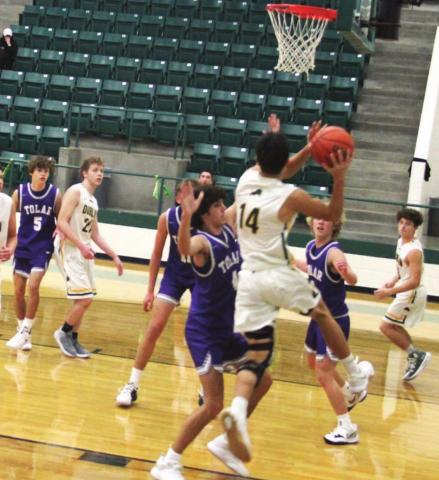 Dublin JV Lions