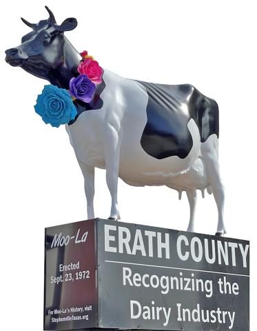 Moo-La sits on the Stephenville courthouse square