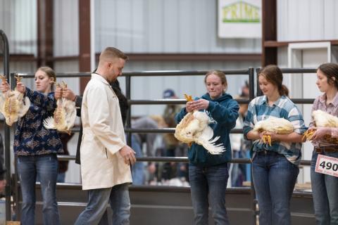 Photo by Danielle Meador/chicken show 1