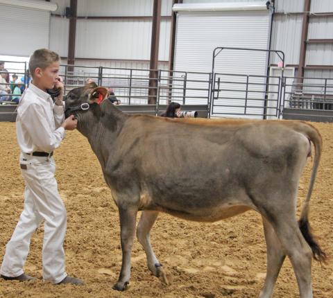 ECLA Dairy Show 1