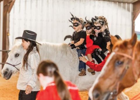 Gala draws 240 to cause