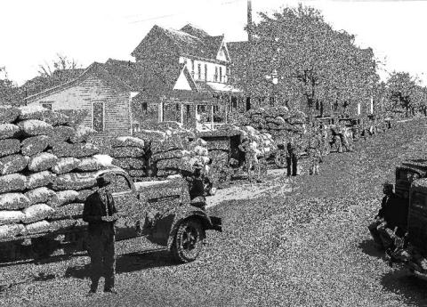 Trucks arrived in Dublin with the 1940 harvest of peanuts