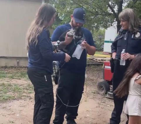 Dublin EMS aids a cat suffering from smoke inhalation after a structure fire on Saturday, Oct. 28. Courtesy photo