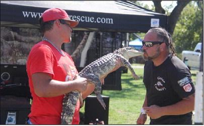 Educators from Gator Country Adventure Park in Beaumont show audience members that 99.9% of the time alligators can be trained as he leans in for a gator kiss. Wyndi Veigel | Citizen staff photo