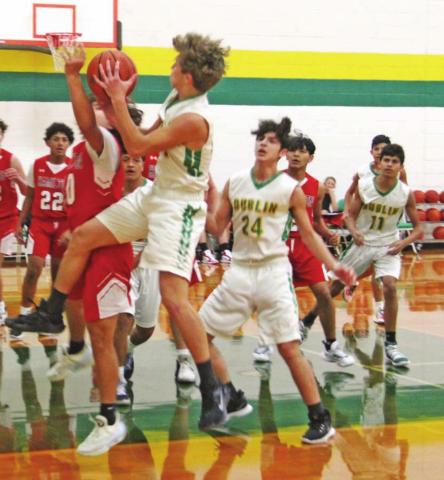 Dublin Freshman Lions