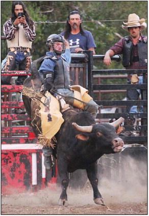 All about that rodeo