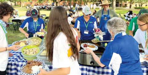 Picnic of plenty
