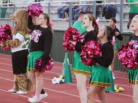 Pink Out Pride