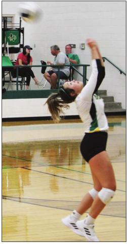 Lady Lions LEASH HAMILTON at home