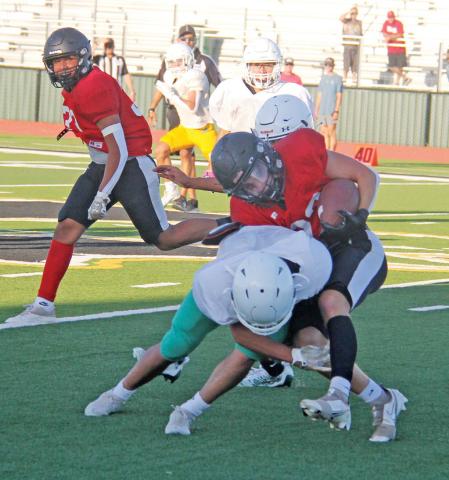 Lions cut teeth in scrimmage