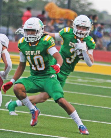 Lions look to leash Bulldogs