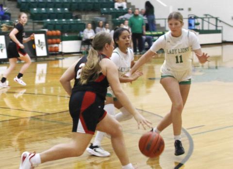 Dublin Lady Lions Ismari Molina and Brittney Everett sweep in to cover an opponent in a recent home game. Paul Gaudette | Citizen staff photo