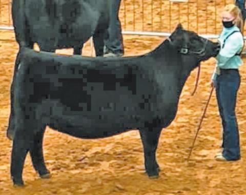 Dublin FFA member
