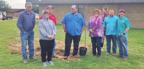 Trees were planted