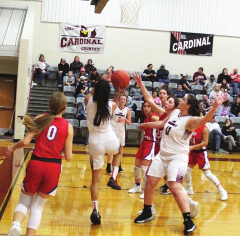 Cards, Lady Cards conquer Gorman