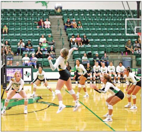 Lady Lions put fight to Rams, tourney