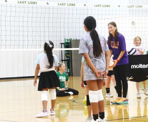 Tarleton to host softball camps