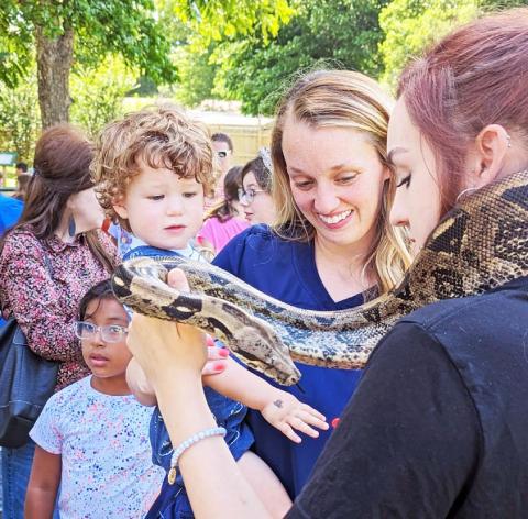 Thor, a Columbian red tail boa constrictor collects gentle touches from kids and parents alike at the Creature Teacher presentation at the library. Paul Gaudette | Citizen staff photo