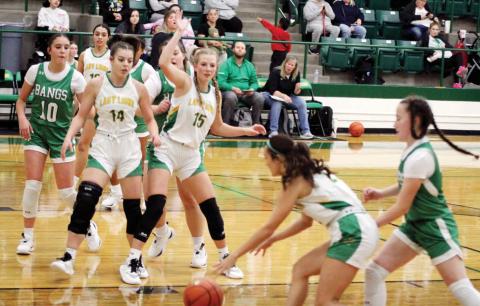 Lady Lions best Bangs at home
