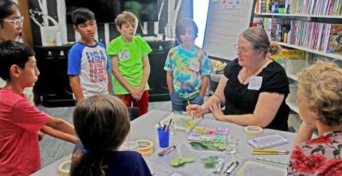 Sarah Warner Svadlenka led an art camp last week as part of Dublin Public Library’s summer reading program. Artists met in the library’s teen room and practiced with various styles and activities including taking real leaves and using those to create original art. Wyndi Veigel Gaudette | Citizen staff photos