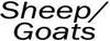 Alt Text for Image