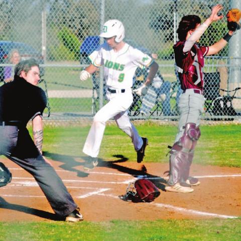 Lions battle Bulldogs