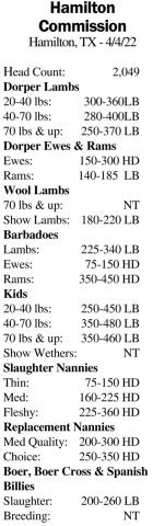 Sheep/ Goats