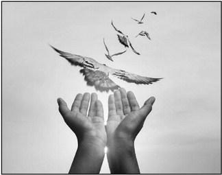 Choosing Freedom of the Mind