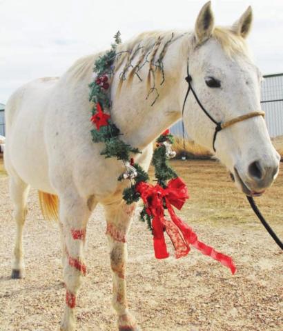 Grinch has heart for Humane Society