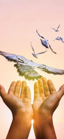 The Privilege of Prayer