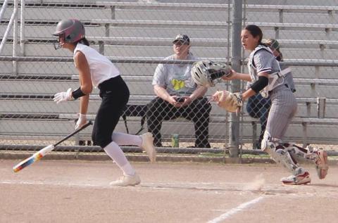 Dublin Lady Lion Olivia Salyer