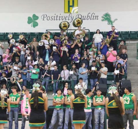 Lion Pride